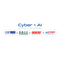 Cyber + AI Certification Training Package